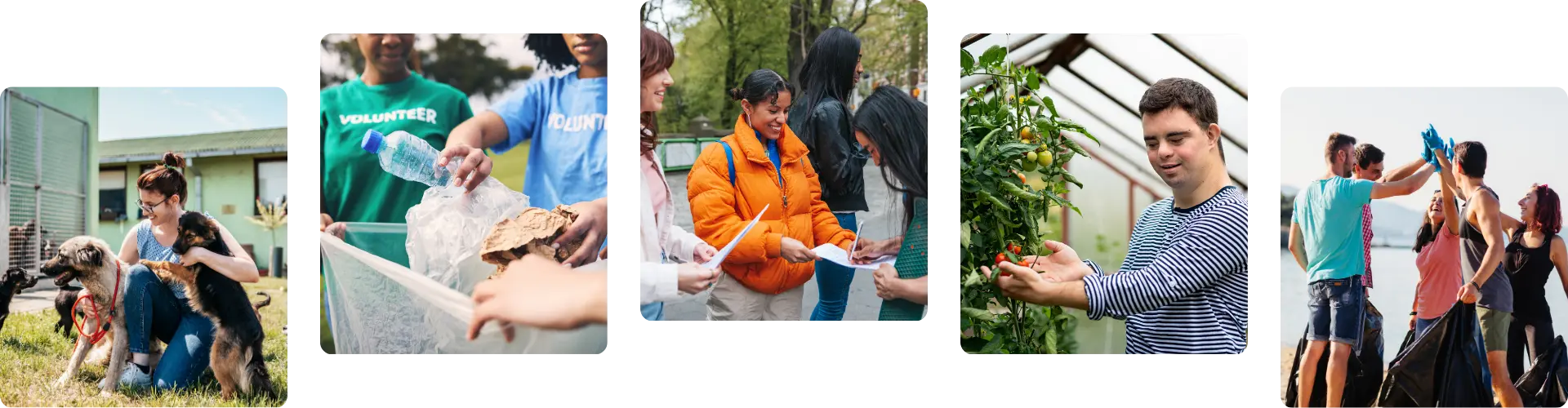 Riveo Impact Grant Collage of volunteers picking up trash, collecting signatures, tending to animals at a shelter, and working in a garden.